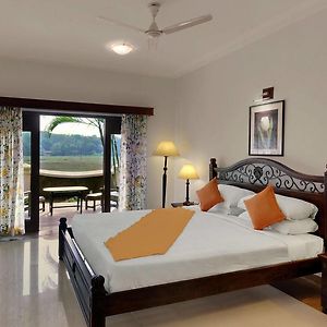 Superior Double Room Garden View